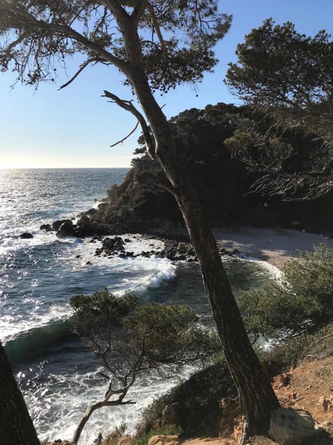 Villa Lucienne Bandol , T2 4 Etoiles Avec Garage, Dans Les Calanques Kültér fotó