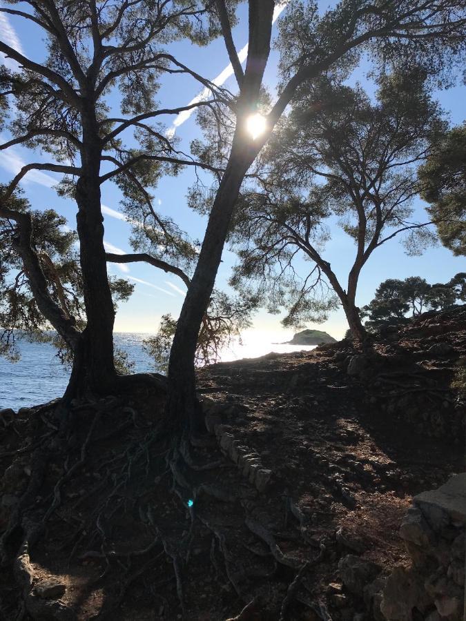 Villa Lucienne Bandol , T2 4 Etoiles Avec Garage, Dans Les Calanques Kültér fotó